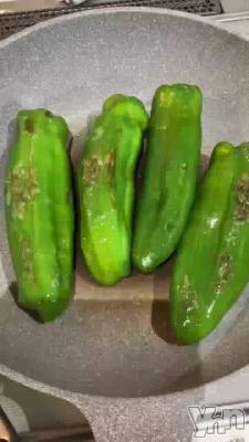 🫑(🫑•᎑•🫑)🫑