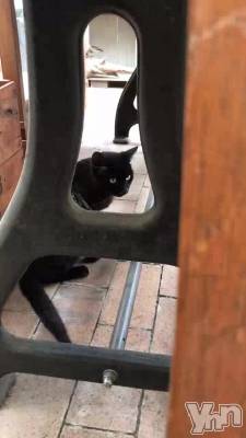 ���ֲ������^_^