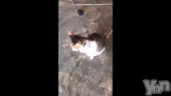 ��♫���Ʊ�♫��