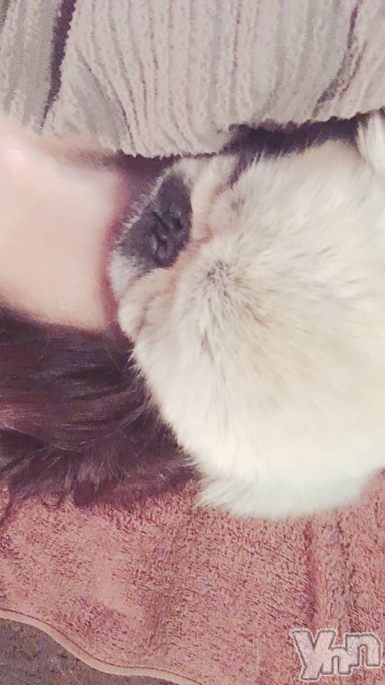 ���ܥ���Х��顦�����club RUDAN(����֥����) �����1��16���̥�֥����֤�������☺︎��