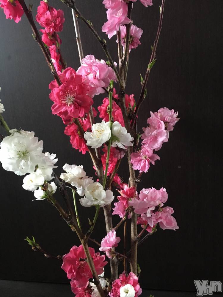 ���ܥ���Х��顦�����club RUDAN(����֥����) �����4��7���̥�֥�����☺︎��