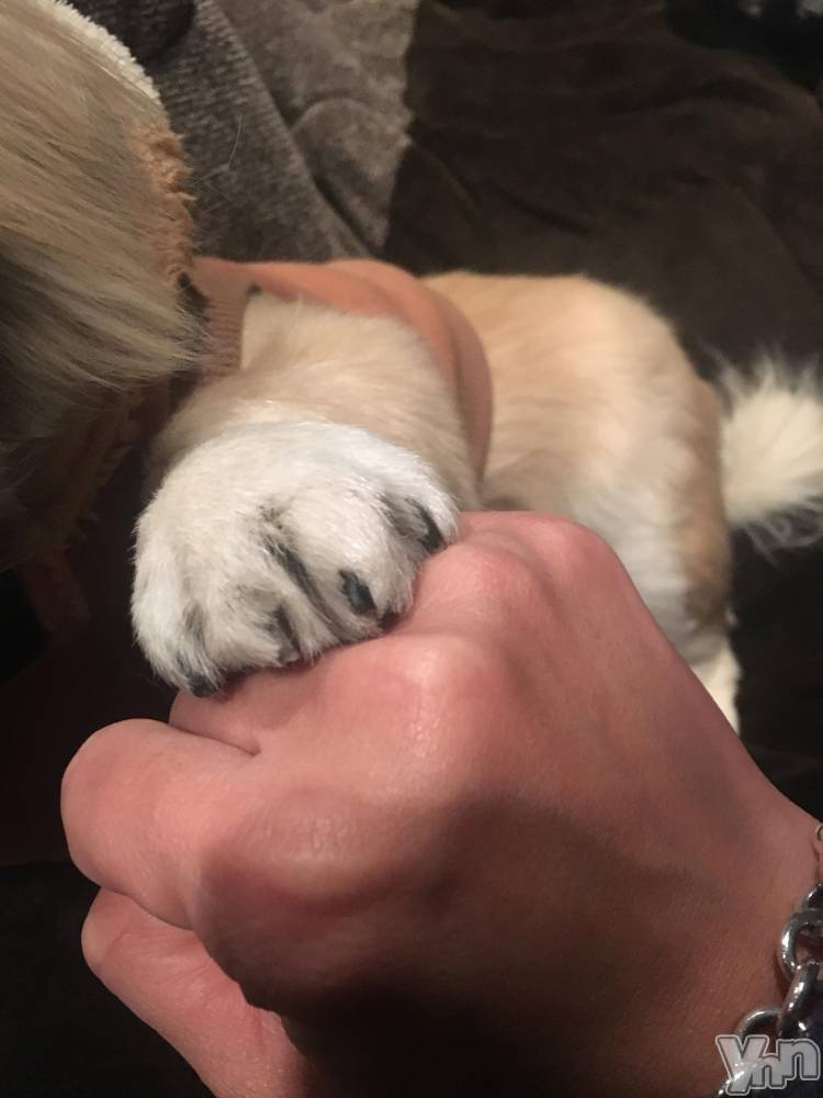 ���ܥ���Х��顦�����club RUDAN(����֥����) �����4��24���̥�֥����֤�������☺︎��