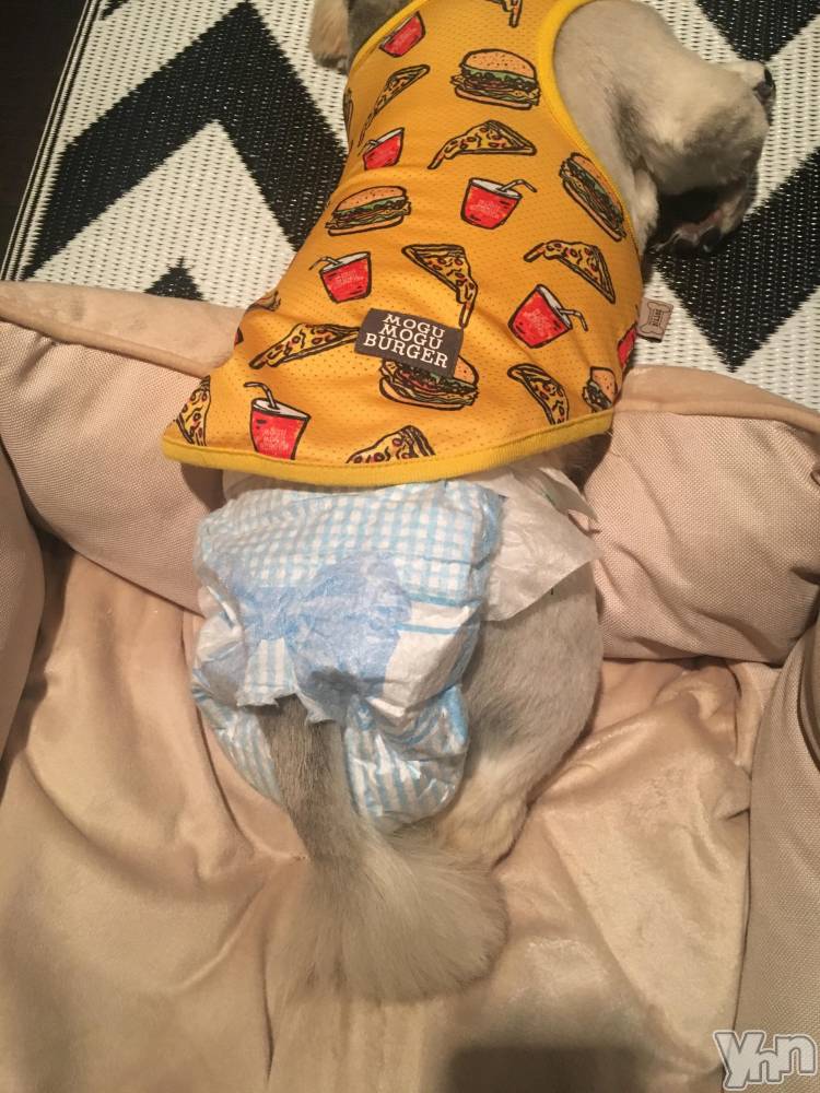 ���ܥ���Х��顦�����club RUDAN(����֥����) �����5��21���̥�֥����֥���󥯤�������☺︎��