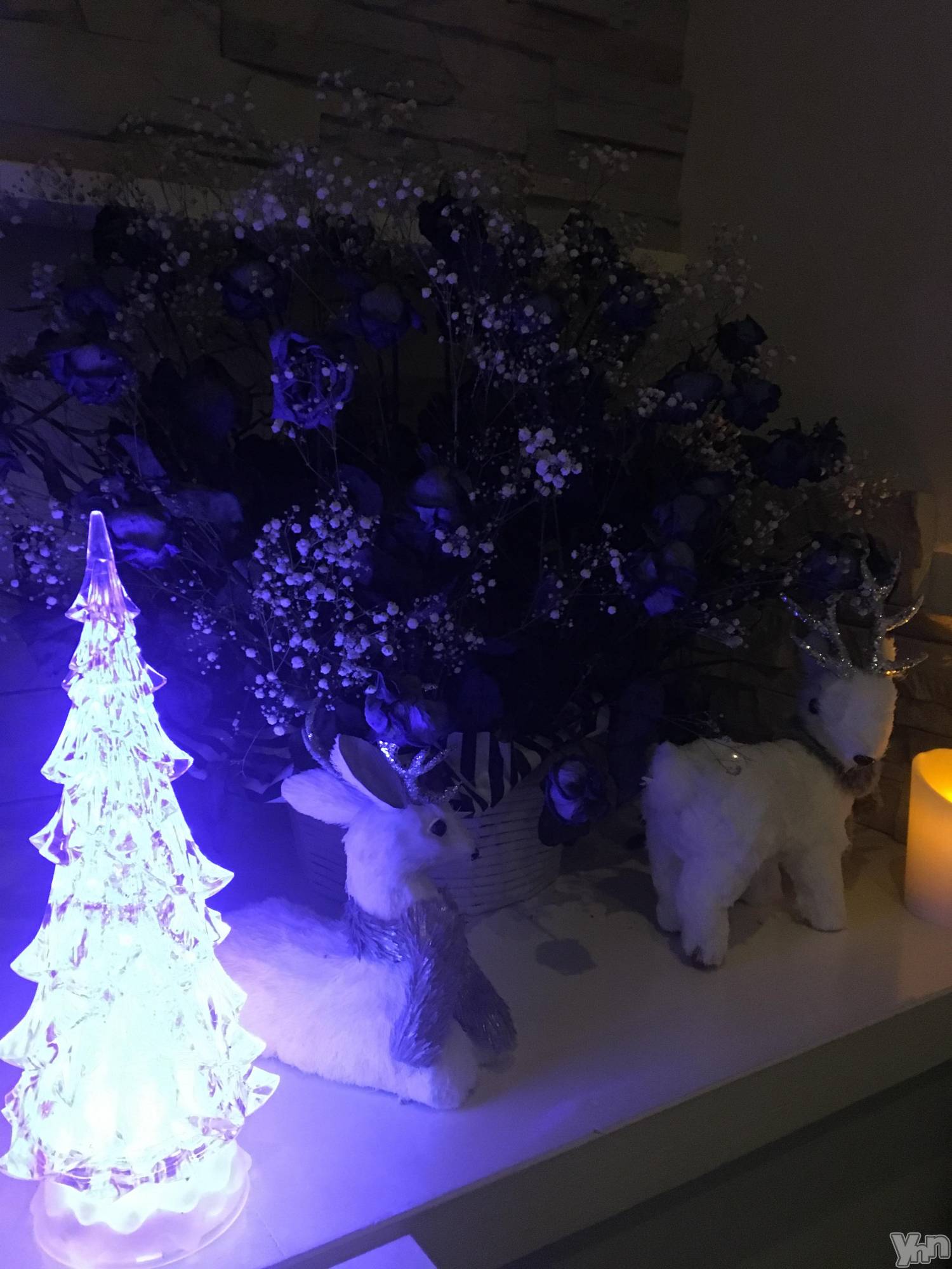 ���ܥ���Х��顦�����club RUDAN(����֥����) ��2019ǯ11��29���̥�֥����֥��ꥹ�ޥ����͡���