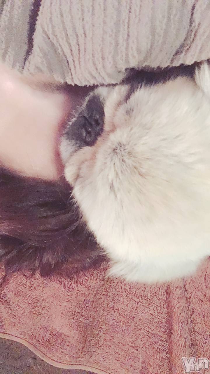 ���ܥ���Х��顦�����club RUDAN(����֥����) ��2020ǯ1��16���̥�֥����֤�������☺︎��