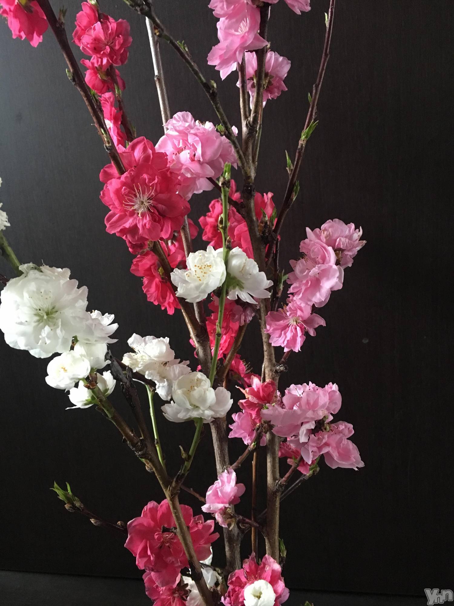 ���ܥ���Х��顦�����club RUDAN(����֥����) ��2020ǯ4��7���̥�֥�����☺︎��