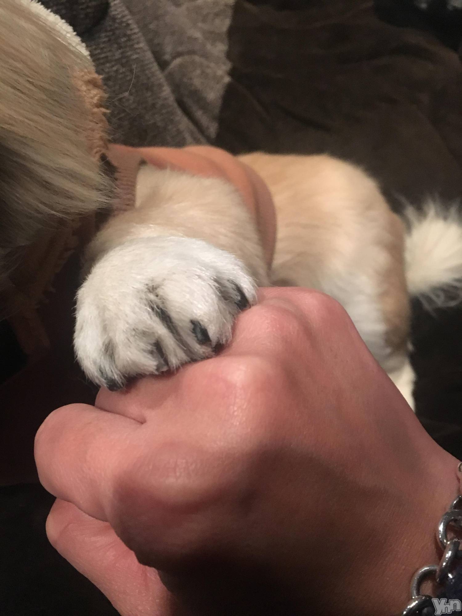 ���ܥ���Х��顦�����club RUDAN(����֥����) ��2020ǯ4��24���̥�֥����֤�������☺︎��