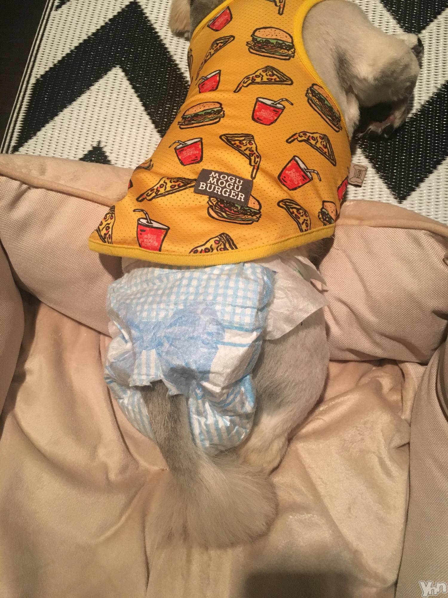 ���ܥ���Х��顦�����club RUDAN(����֥����) ��2020ǯ5��21���̥�֥����֥���󥯤�������☺︎��