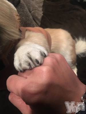 ���ܥ���Х��顦�����club RUDAN(����֥����) �����4��24���̥�֥����֤�������☺︎��