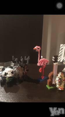 ���ܥ���Х��顦�����club RUDAN(����֥����) �����4��29���̥�֥����֤����Υ��˥ޥ�ã☺︎��