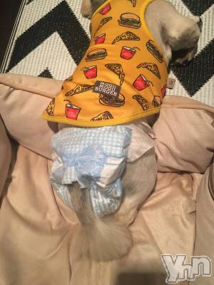 ���ܥ���Х��顦�����club RUDAN(����֥����) �����5��21���̥�֥����֥���󥯤�������☺︎��