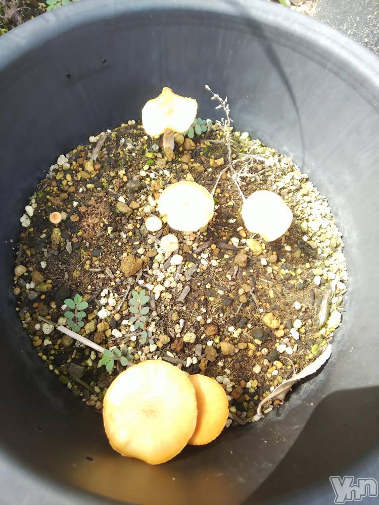 ���ܥ���Х��顦�����club RUDAN(����֥����) ������7��29���̥�֥����֥��Υ���