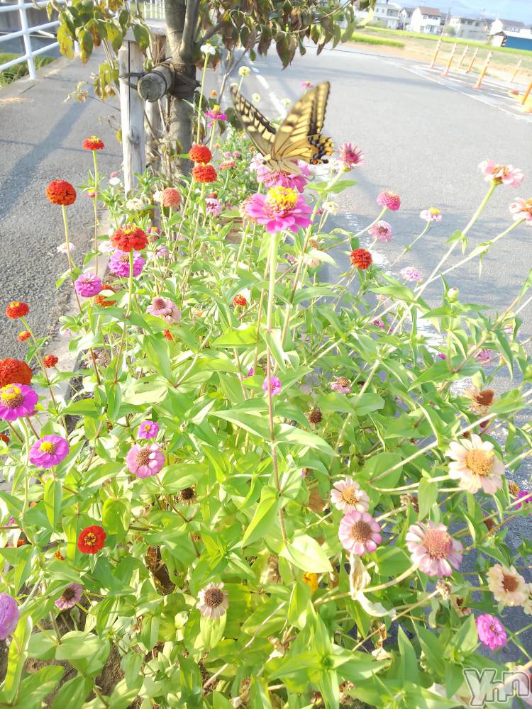 ���ܥ���Х��顦�����club RUDAN(����֥����) ������8��19���̥�֥����֥�����ĳ��