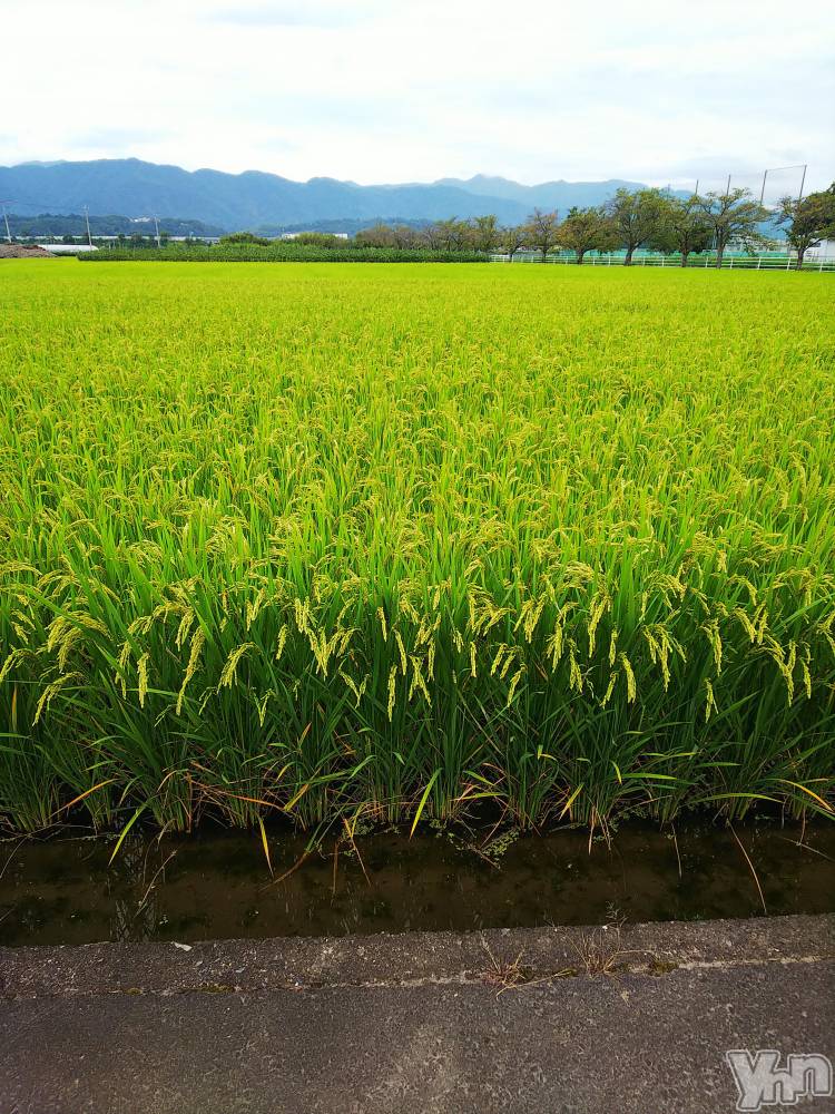 ���ܥ���Х��顦�����club RUDAN(����֥����) ������9��16���̥�֥����ֵפ��֤�ˡ�