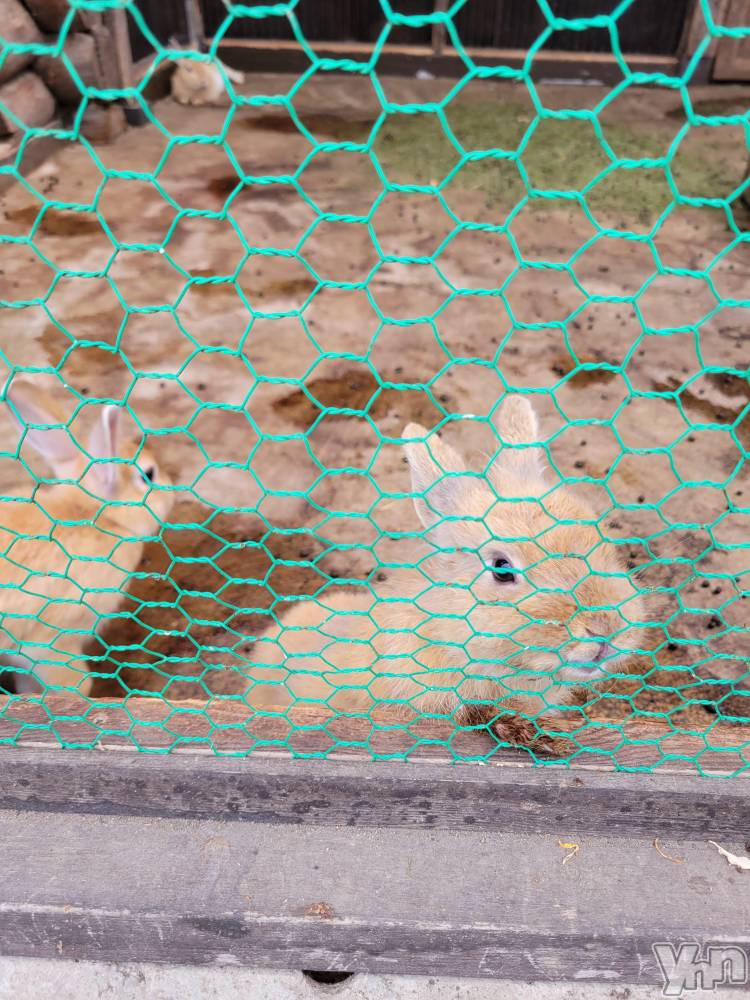 ���ܥ���Х��顦�����club RUDAN(����֥����) ������8��8���̥�֥����֥�������