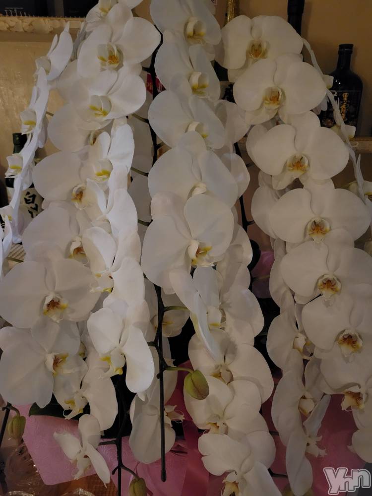 ���ܥ���Х��顦�����club RUDAN(����֥����) ������9��18���̥�֥����֤�������⭐��