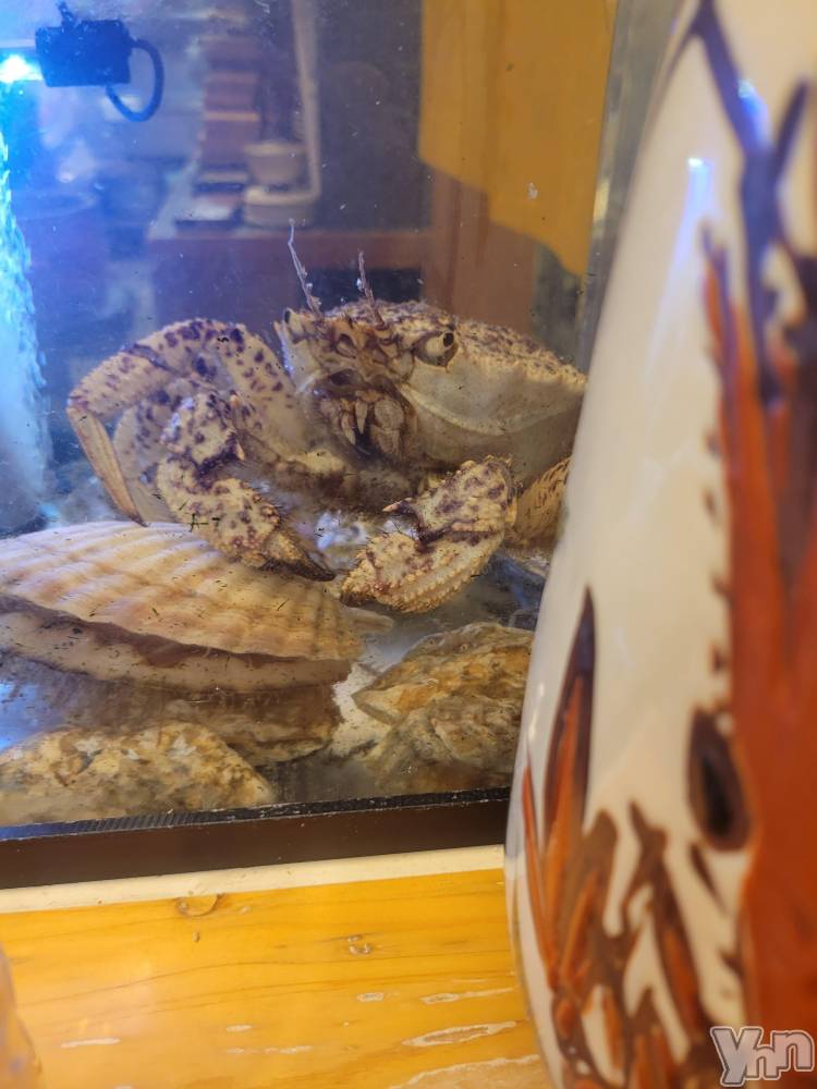 ���ܥ���Х��顦�����club RUDAN(����֥����) ������3��19���̥�֥����ֳ�����🦀��