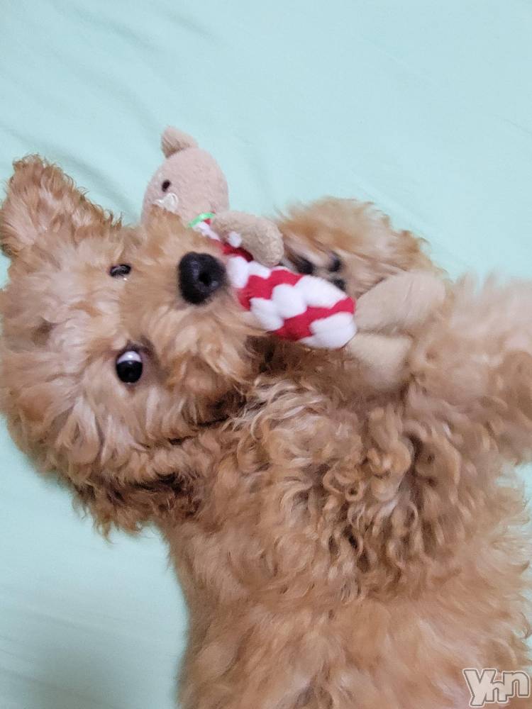 ���ܥ���Х��顦�����club RUDAN(����֥����) ������8��30���̥�֥����ֺ����Τ�󤳡�