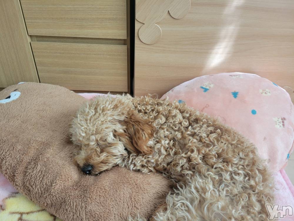 ���ܥ���Х��顦�����club RUDAN(����֥����) ������11��6���̥�֥����֤��뿲🐥��