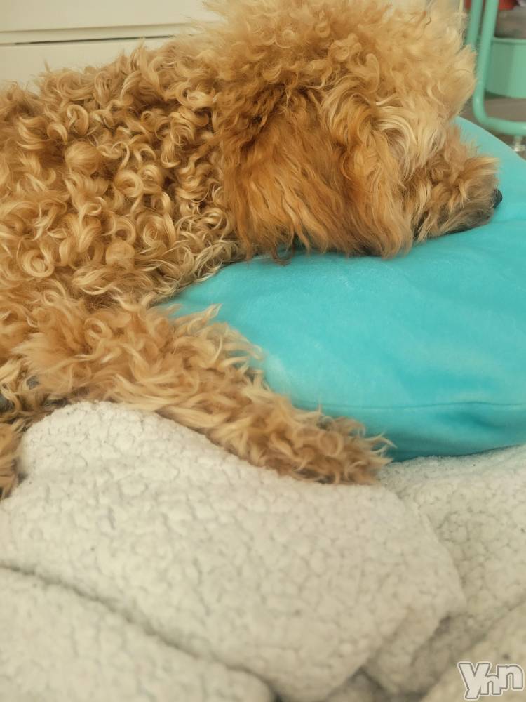 ���ܥ���Х��顦�����club RUDAN(����֥����) ������11��17���̥�֥����֤��Ҥ��(�����ϡ���)��