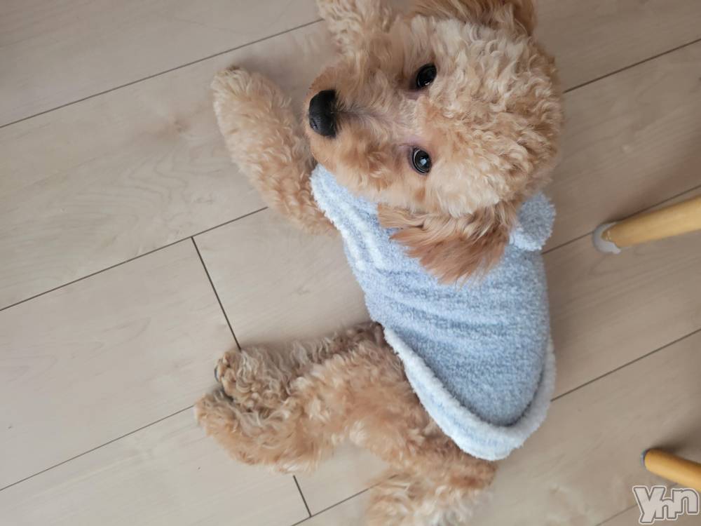 ���ܥ���Х��顦�����club RUDAN(����֥����) ������11��22���̥�֥����֤դ�դ��