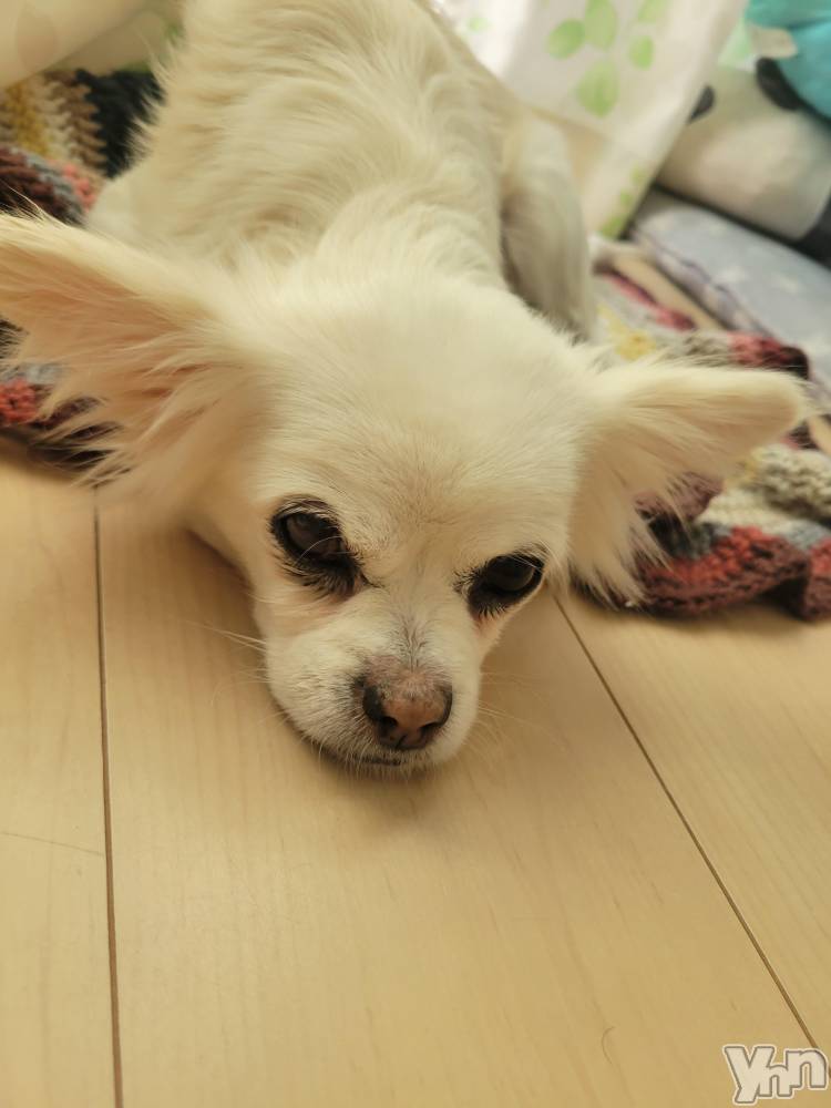 ���ܥ���Х��顦�����club RUDAN(����֥����) ������11��29���̥�֥����֤��Ф���⭐��