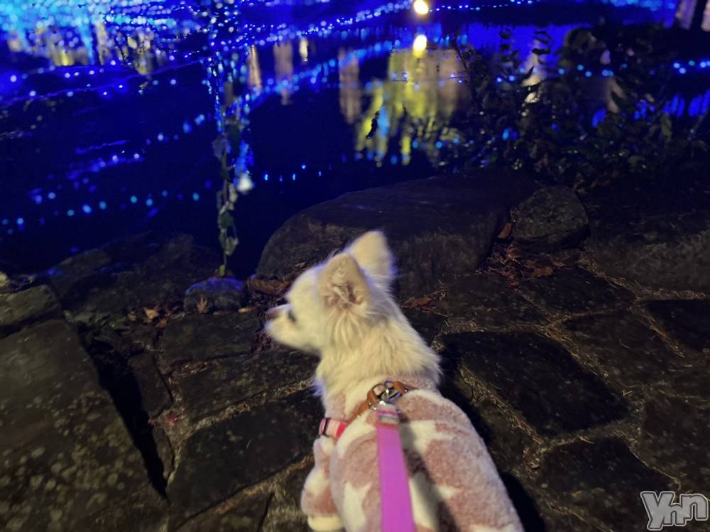 ���ܥ���Х��顦�����club RUDAN(����֥����) ������12��11���̥�֥����֤������