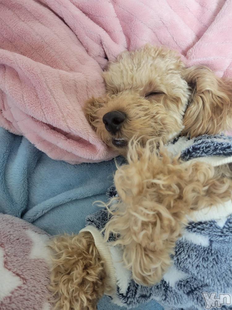 ���ܥ���Х��顦�����club RUDAN(����֥����) ������12��18���̥�֥����֤��䤹�ߡ�