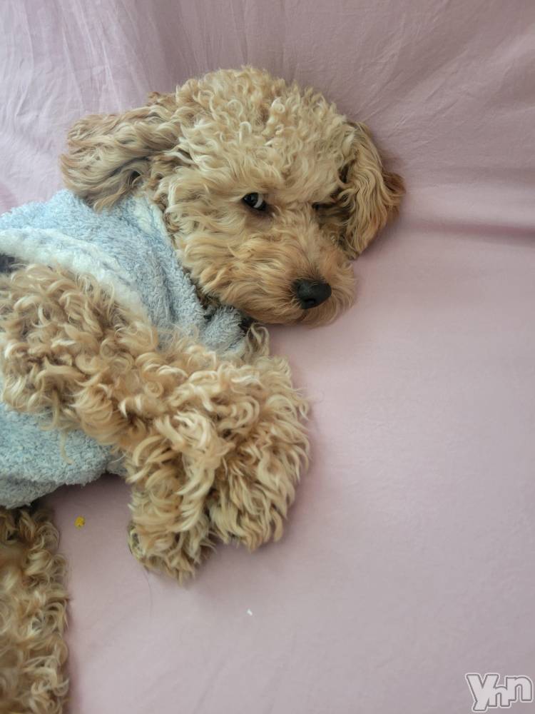 ���ܥ���Х��顦�����club RUDAN(����֥����) ������12��23���̥�֥������ߡ�