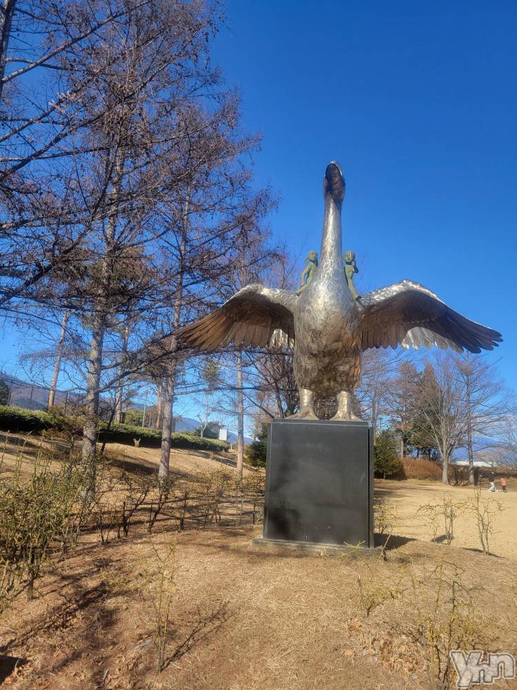 ���ܥ���Х��顦�����club RUDAN(����֥����) ������1��6���̥�֥����֤������