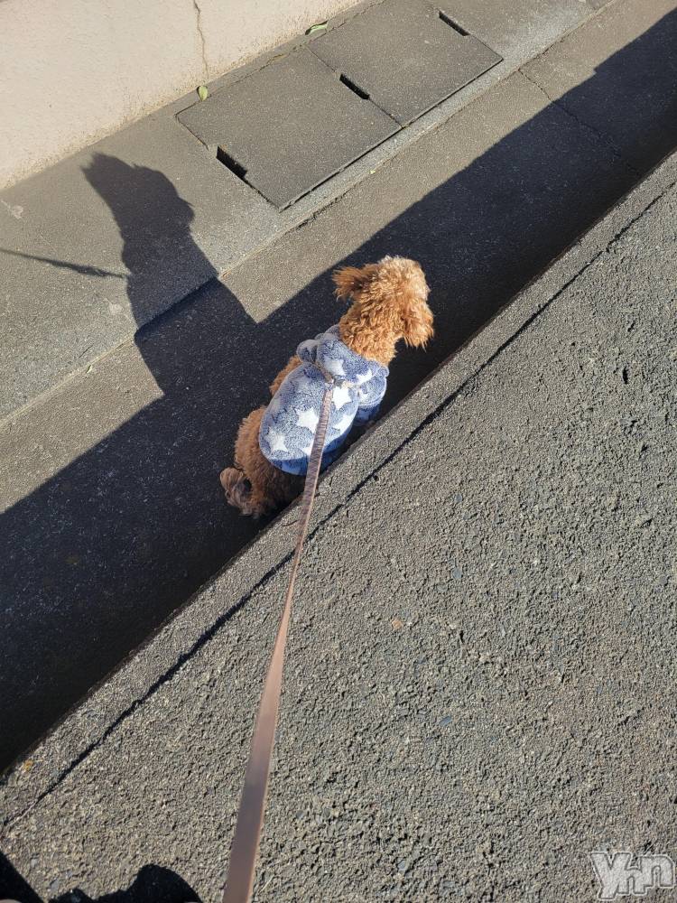 ���ܥ���Х��顦�����club RUDAN(����֥����) ������1��8���̥�֥����֤������