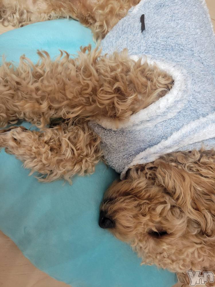 ���ܥ���Х��顦�����club RUDAN(����֥����) ������1��27���̥�֥����֥⥳�⥳��