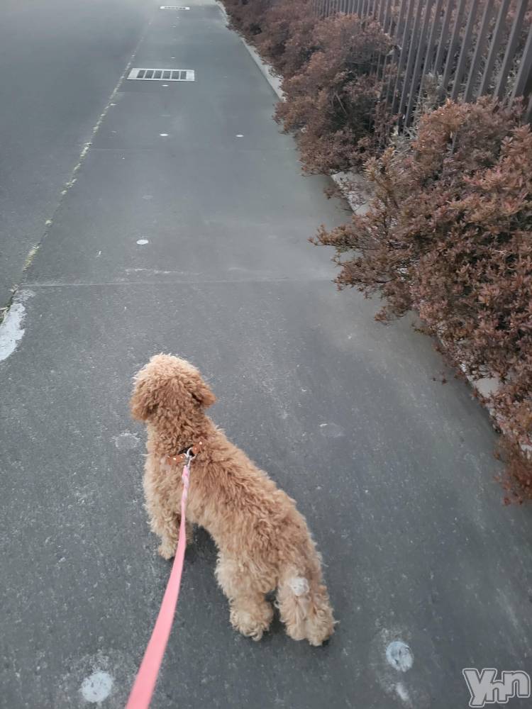 ���ܥ���Х��顦�����club RUDAN(����֥����) ������2��5���̥�֥����ְ������