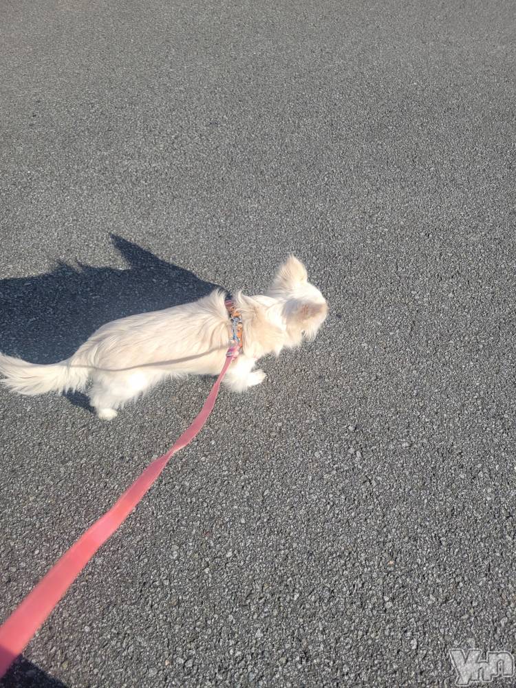 ���ܥ���Х��顦�����club RUDAN(����֥����) ������2��10���̥�֥����֤��������