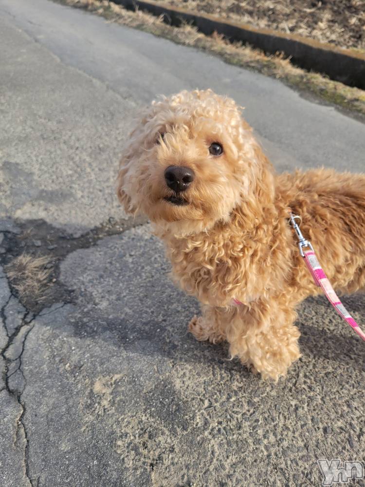 ���ܥ���Х��顦�����club RUDAN(����֥����) ������2��12���̥�֥����֤��������