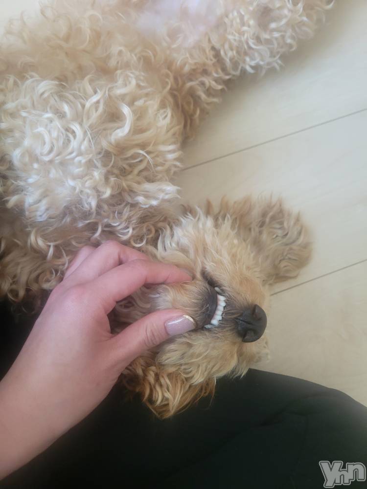 ���ܥ���Х��顦�����club RUDAN(����֥����) ������2��22���̥�֥����֤�դ�դ����