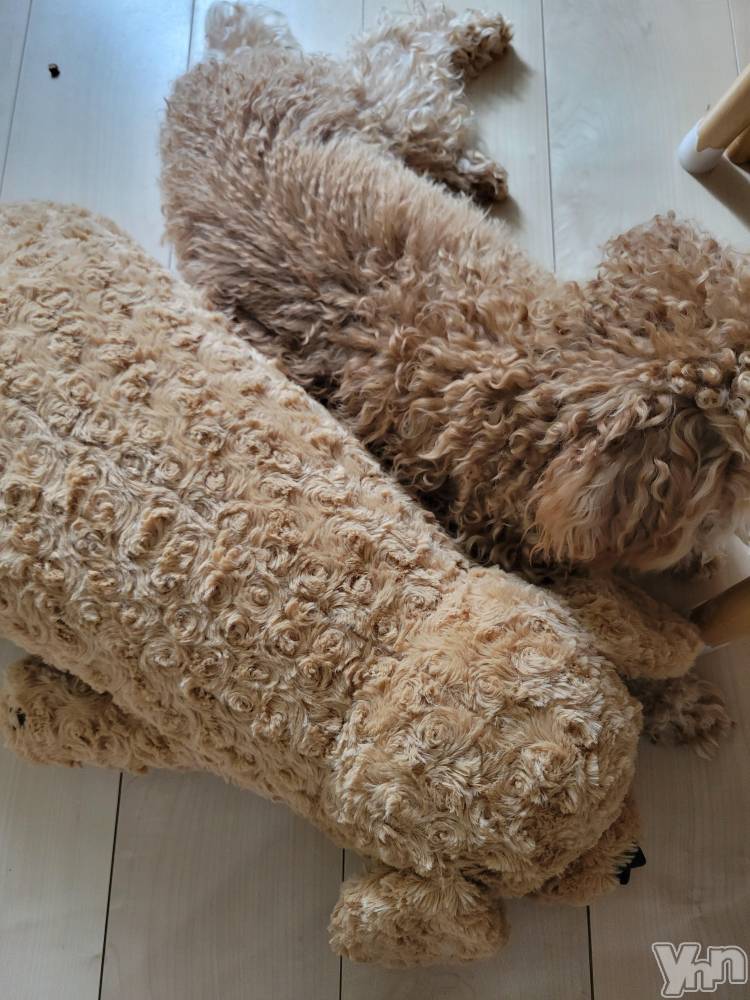 ���ܥ���Х��顦�����club RUDAN(����֥����) ������2��26���̥�֥����֤�ͧã⭐��