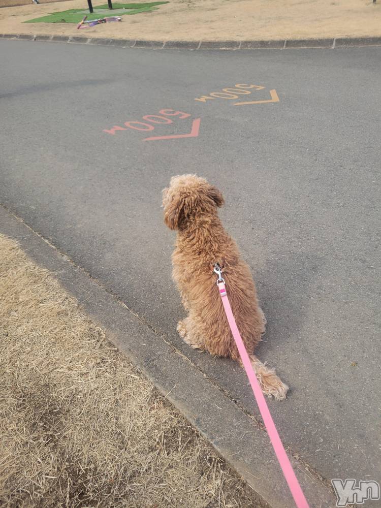 ���ܥ���Х��顦�����club RUDAN(����֥����) ������3��5���̥�֥����֤��������