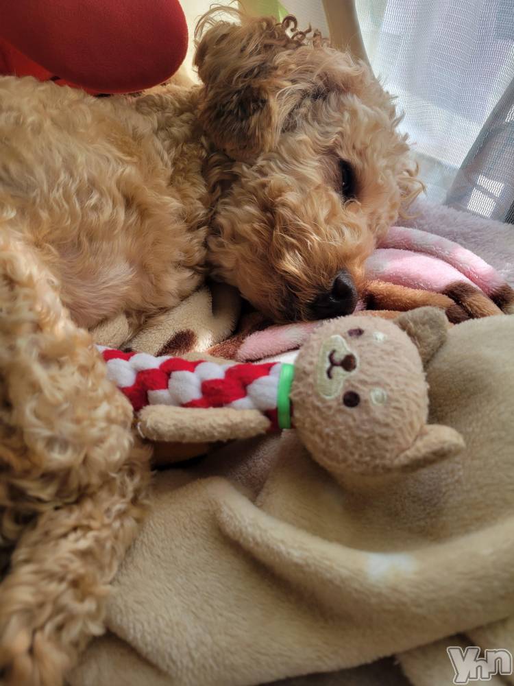 ���ܥ���Х��顦�����club RUDAN(����֥����) ������3��17���̥�֥����֤�������