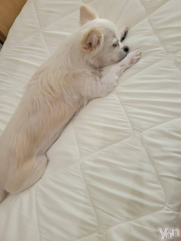 ���ܥ���Х��顦�����club RUDAN(����֥����) ������3��20���̥�֥����֤��뿲⭐��