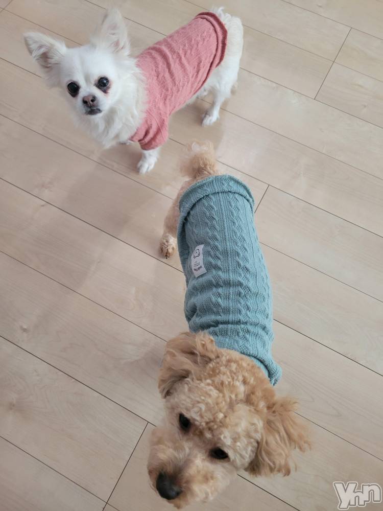 ���ܥ���Х��顦�����club RUDAN(����֥����) ������3��21���̥�֥����֤���������