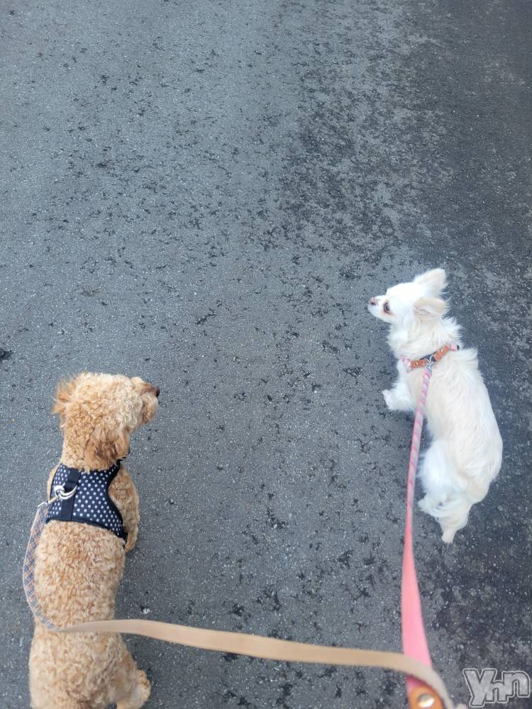 ���ܥ���Х��顦�����club RUDAN(����֥����) ������4��3���̥�֥����֤��������