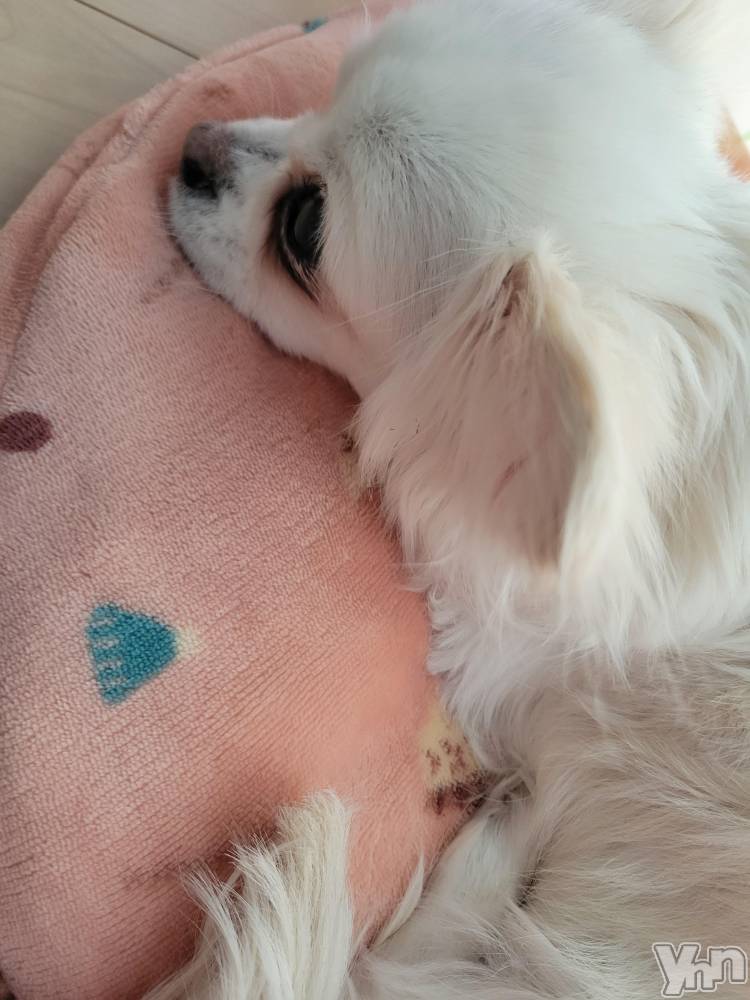 ���ܥ���Х��顦�����club RUDAN(����֥����) ������4��8���̥�֥����֤��䤹�ߡ�