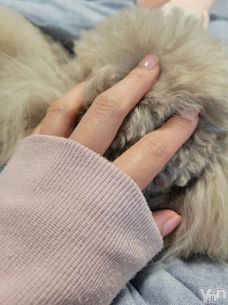 ���ܥ���Х��顦�����club RUDAN(����֥����) ������4��11���̥�֥����֤�դ�ա�