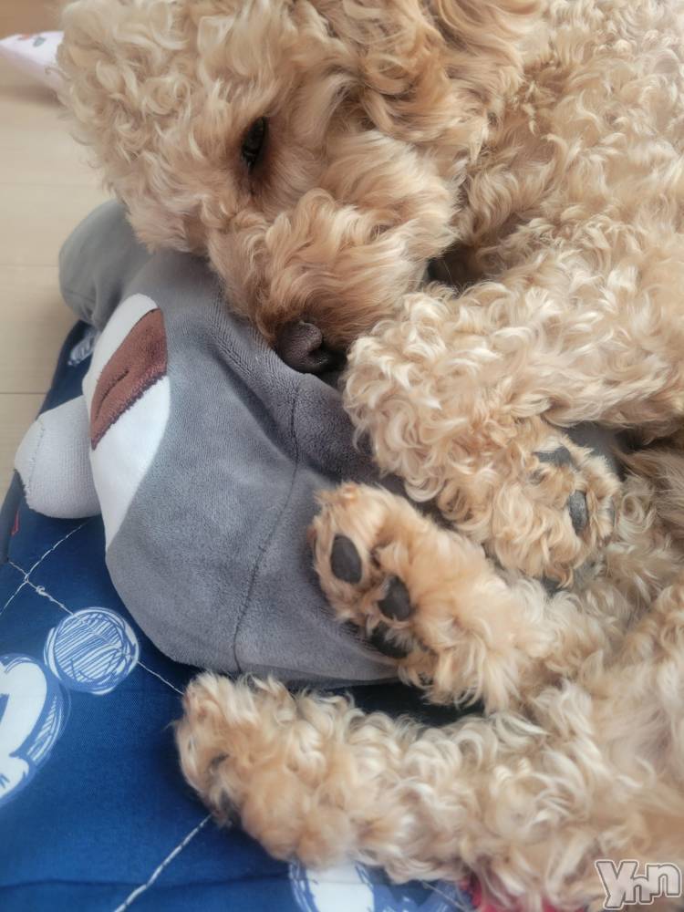 ���ܥ���Х��顦�����club RUDAN(����֥����) ������4��12���̥�֥����֤��뿲��