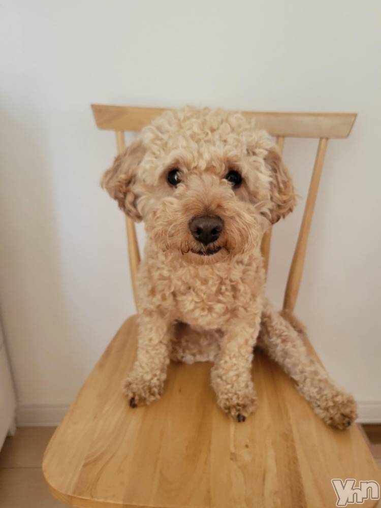 ���ܥ���Х��顦�����club RUDAN(����֥����) ������4��23���̥�֥����֤⤳�⤳�����