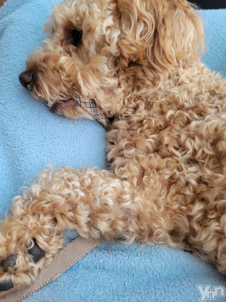 ���ܥ���Х��顦�����club RUDAN(����֥����) ������5��9���̥�֥�����ȿ������