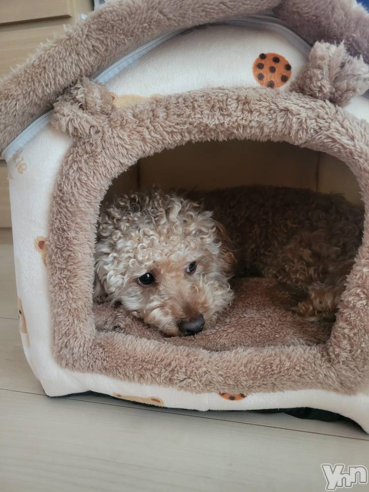 ���ܥ���Х��顦�����club RUDAN(����֥����) ������5��20���̥�֥����ֿ�������������