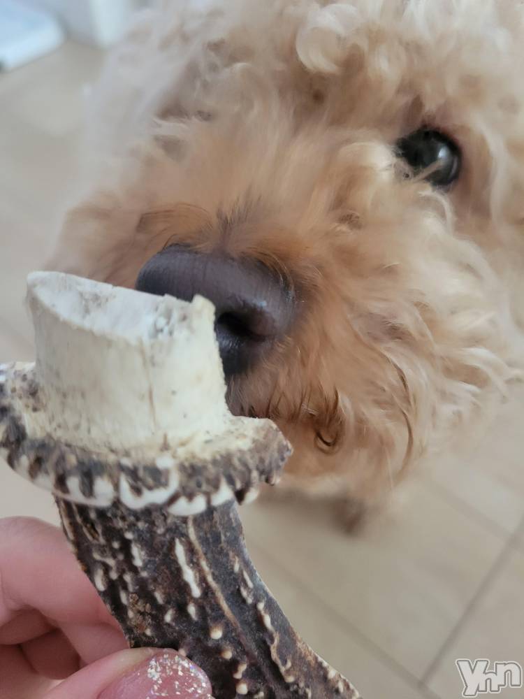 ���ܥ���Х��顦�����club RUDAN(����֥����) ������6��17���̥�֥����ּ��γѡ�