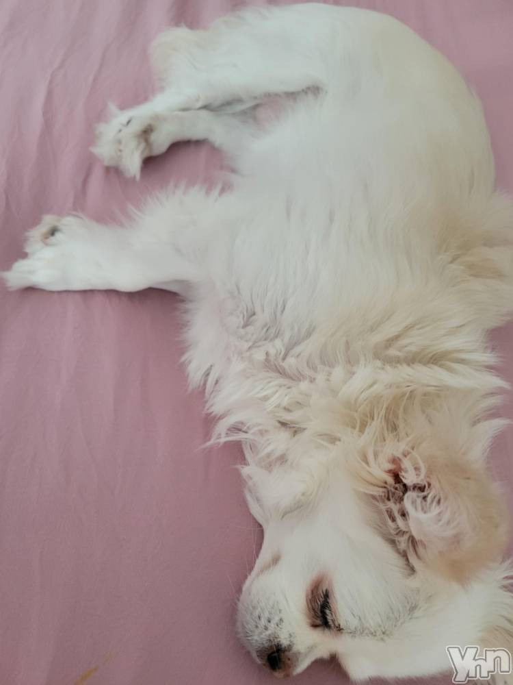 ���ܥ���Х��顦�����club RUDAN(����֥����) ������6��29���̥�֥����֥᥿�ܡ�